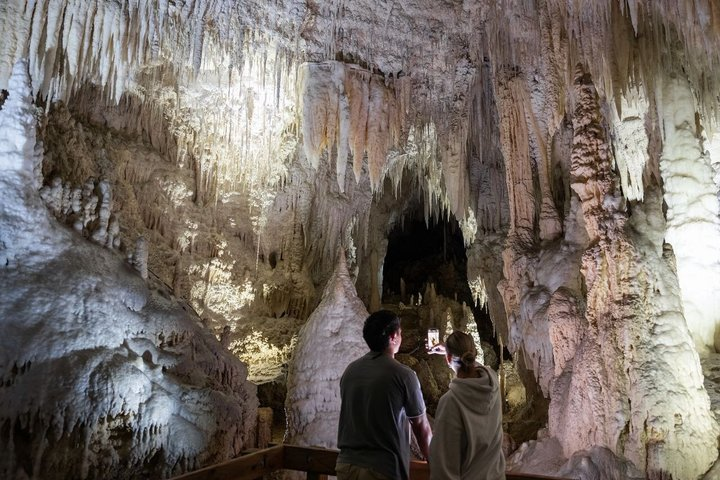 1-Hour Guided Tour of Aranui Cave Waitomo - Photo 1 of 4